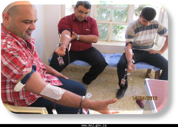 تلبيـــة لنداء دائرة صحة بابل للمشاركة بالتبرع بالدم
